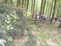 Maibaum_2018 (35)
